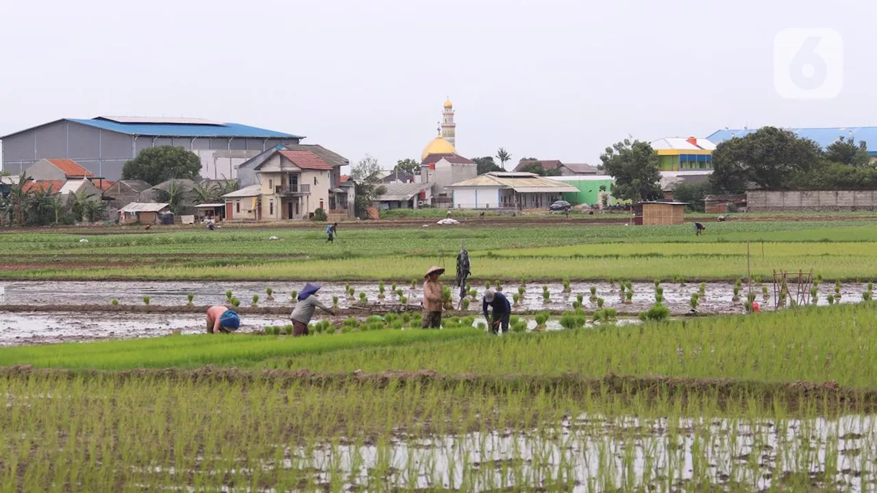 Krisis Pangan Mengancam, Kementan Bakal Cetak 3 Juta Ha Sawah Baru Dalam 4 Tahun