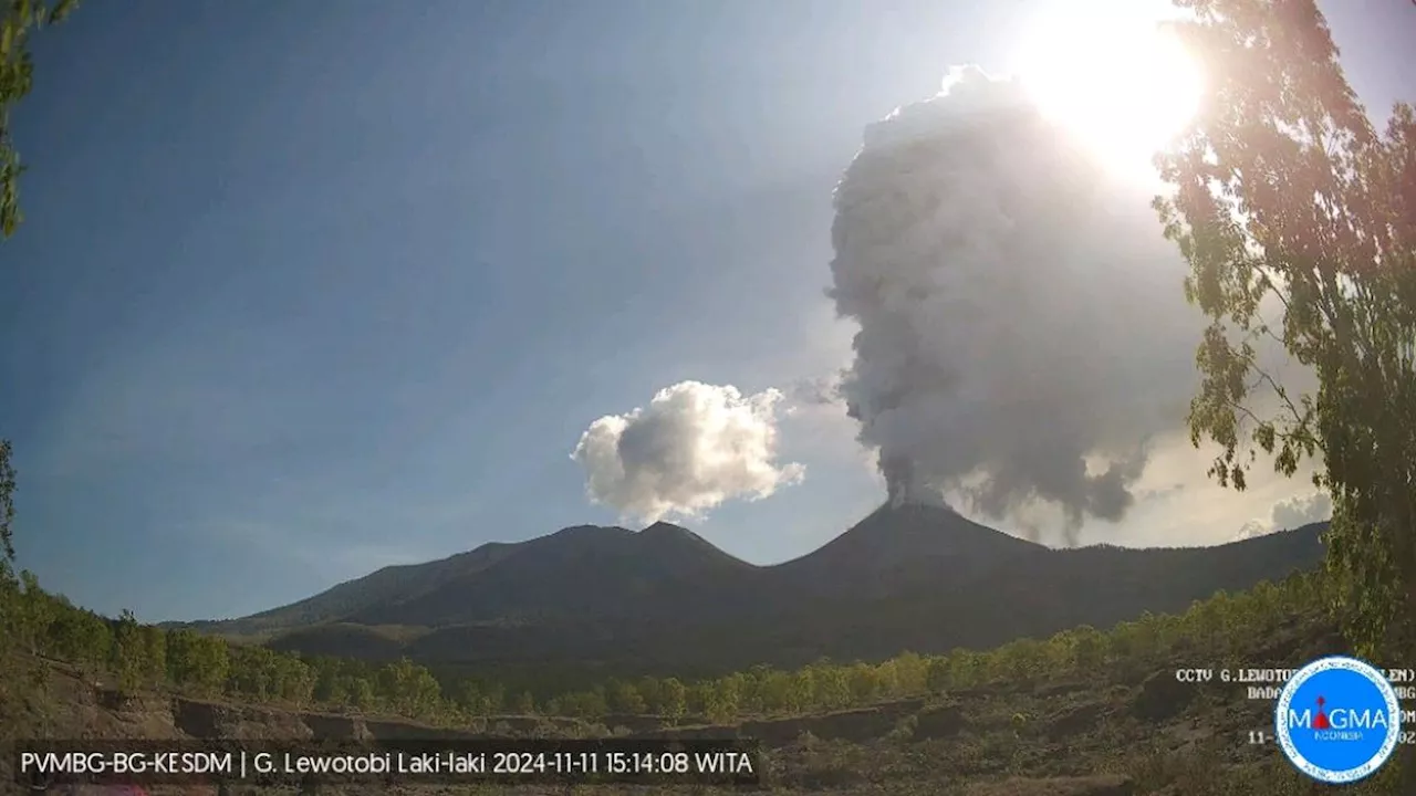 Pemerintah Siapkan 1.100 Rumah untuk Warga Terdampak Erupsi Gunung Lewotobi Laki-laki