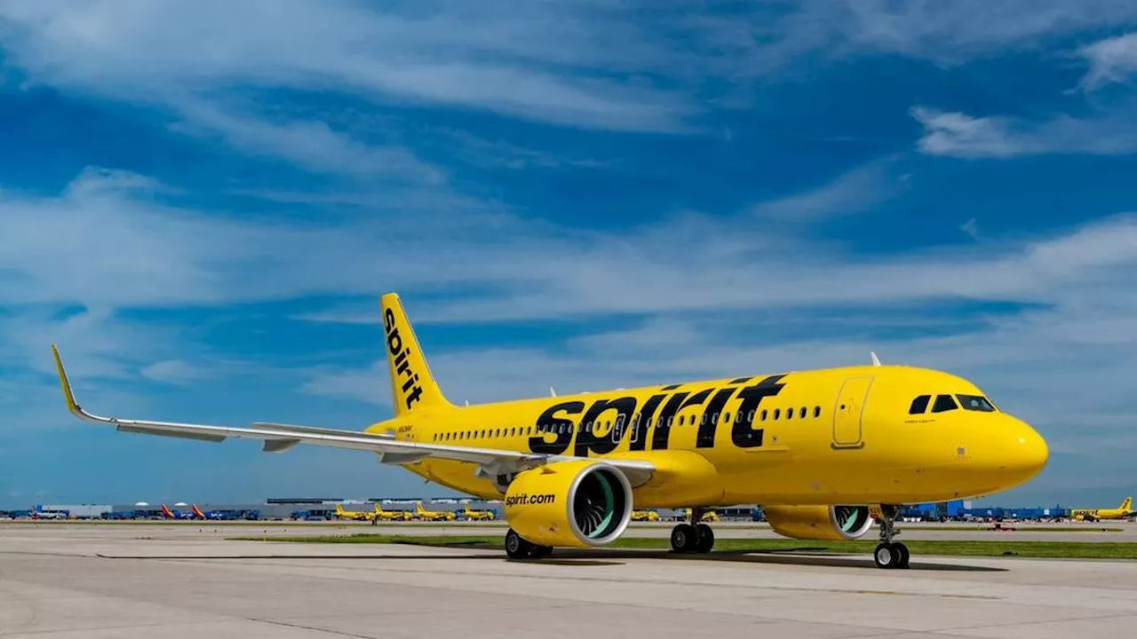 Penembakan Pesawat Spirit Airlines Hendak Mendarat di Haiti, 1 Pramugari Terluka