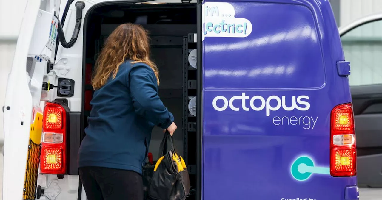 Octopus Energy to give '£0 bills' to 100,000 homes by 2030