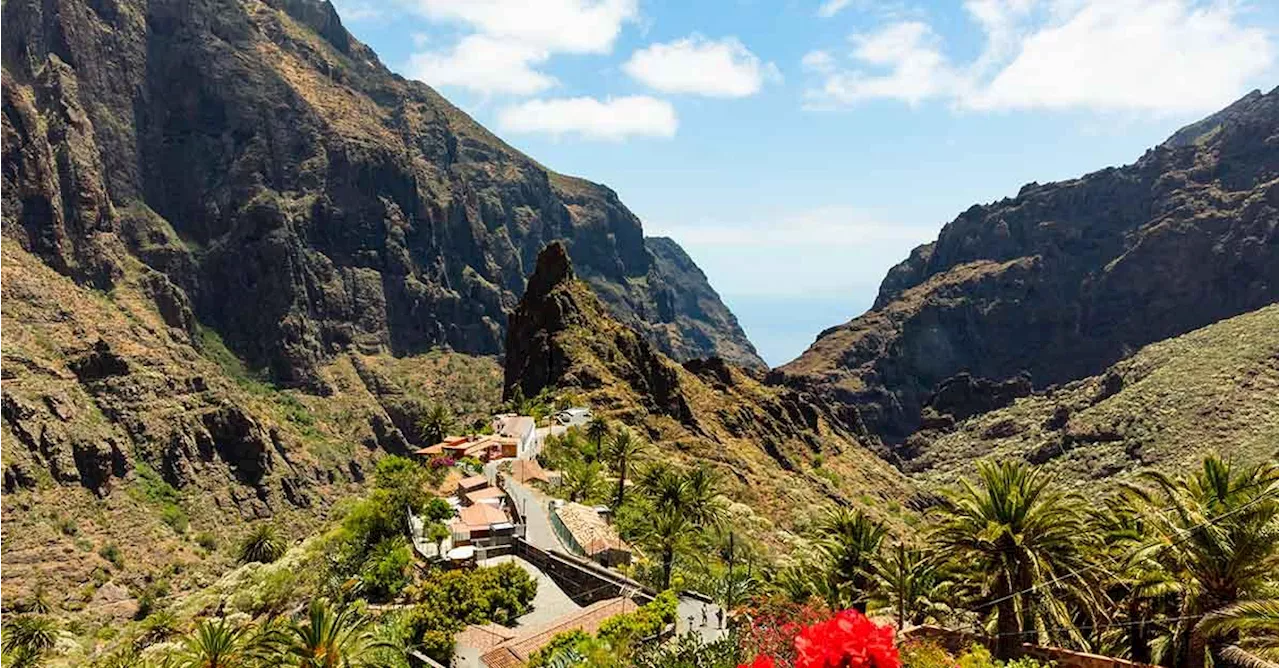 Tenerife en hiver, entre volcans et guachinches