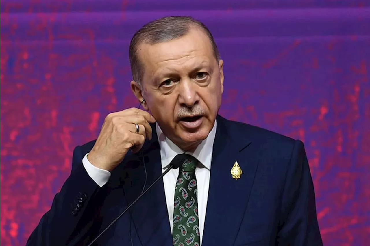 Erdogan Tekankan Peran Penting OKI Hentikan Agresi Israel