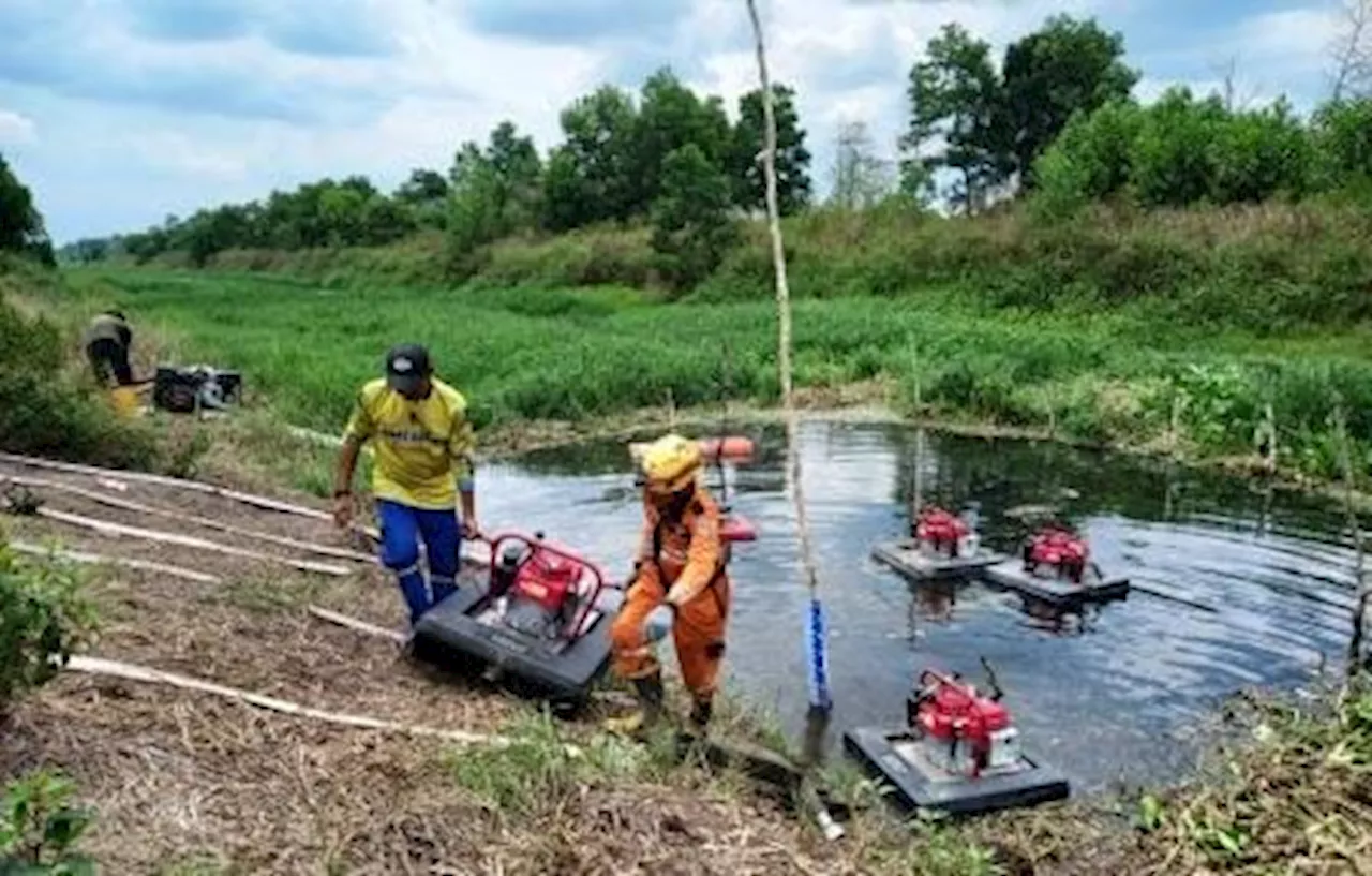 Peneliti Ungkap Restorasi Gambut Secara Artifisial Tingkatkan Serapan Karbon