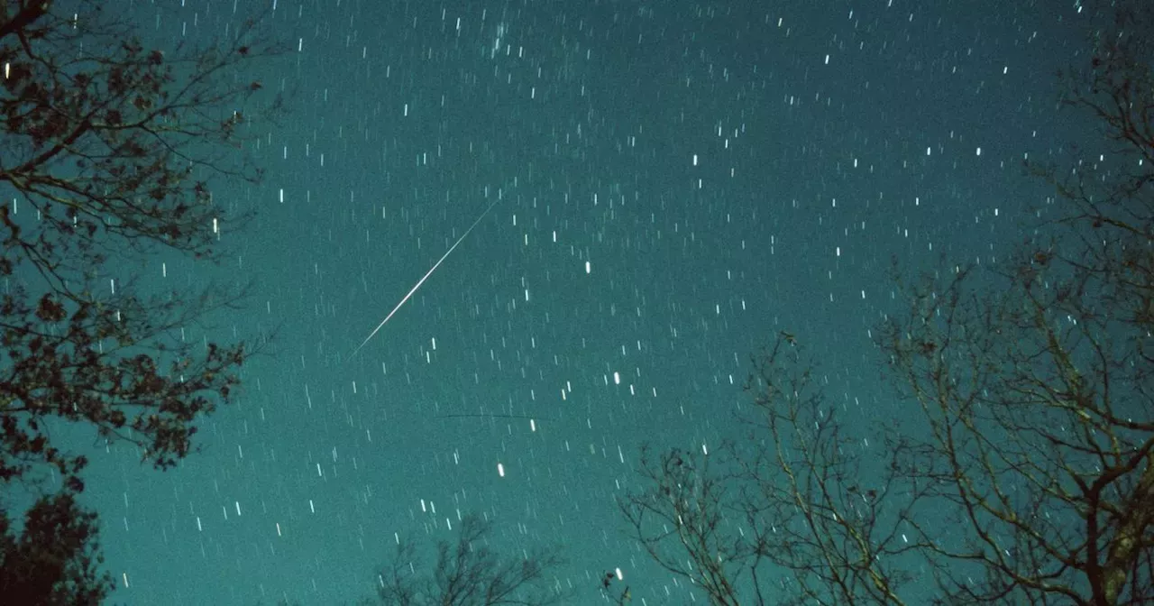 How to watch the Leonid meteor shower this weekend UK News