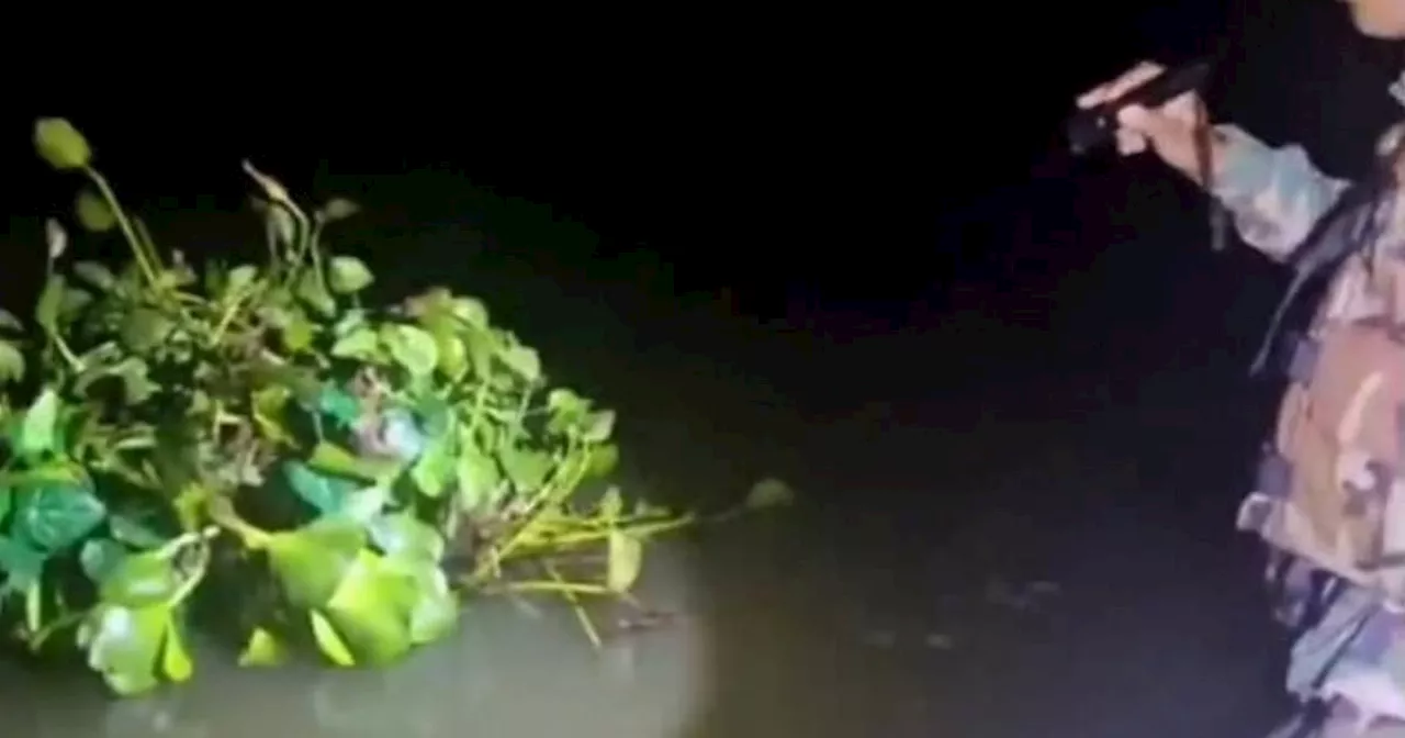 Cigarette smuggler tried floating across river disguised as a water plant