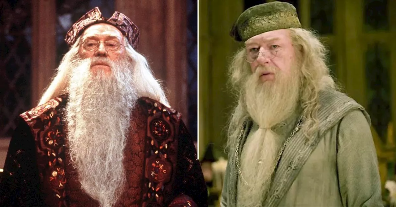 Hollywood icon 'top Dumbledore contender' in Harry Potter TV reboot