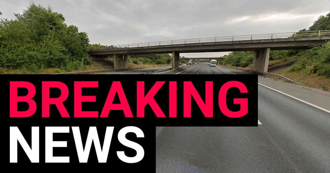 Traffic on M5 after fatal crash in Somerset leaves girl, 17, dead