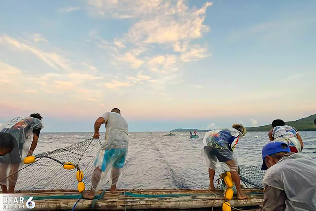 BFAR enforces 3-month fishing ban in Visayan Sea to protect key marine resources