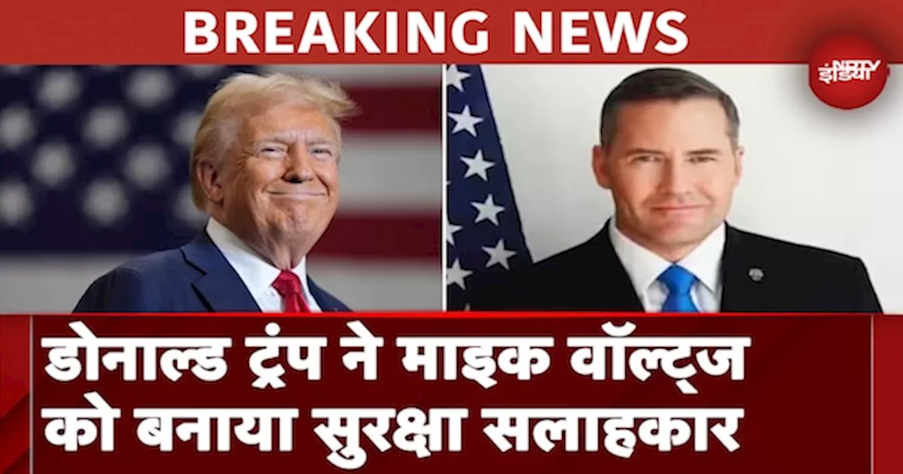 US Elections जीतने के बाद एक्शन में Donald Trump, Mike Waltz को बनाया सुरक्षा सलाहकार