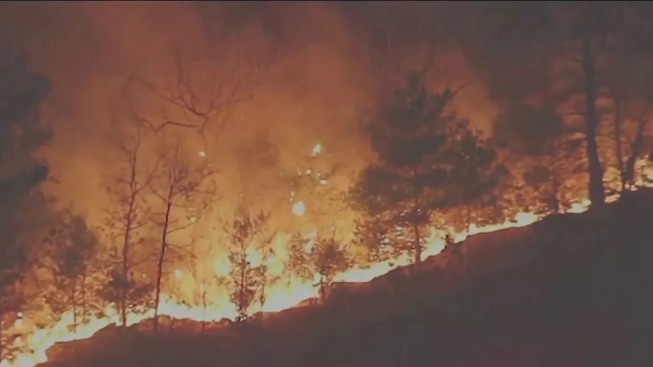 Gov. Healey to address brush fire concerns in Massachusetts