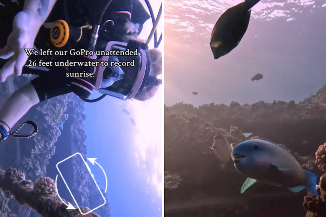 Diver Leaves GoPro Underwater to Capture Sunrise, the Result Is 'Magical'