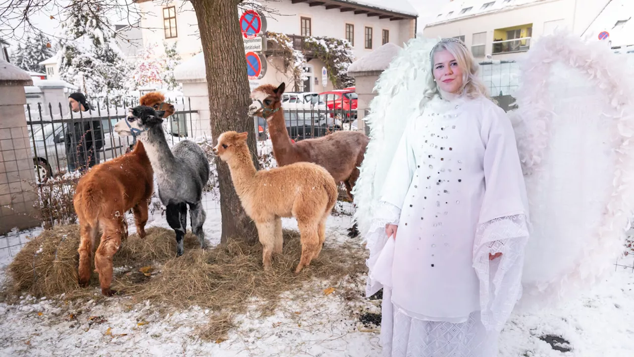 Lebkuchen, Punsch & Kunsthandwerk stehen im Advent wieder hoch im Kurs