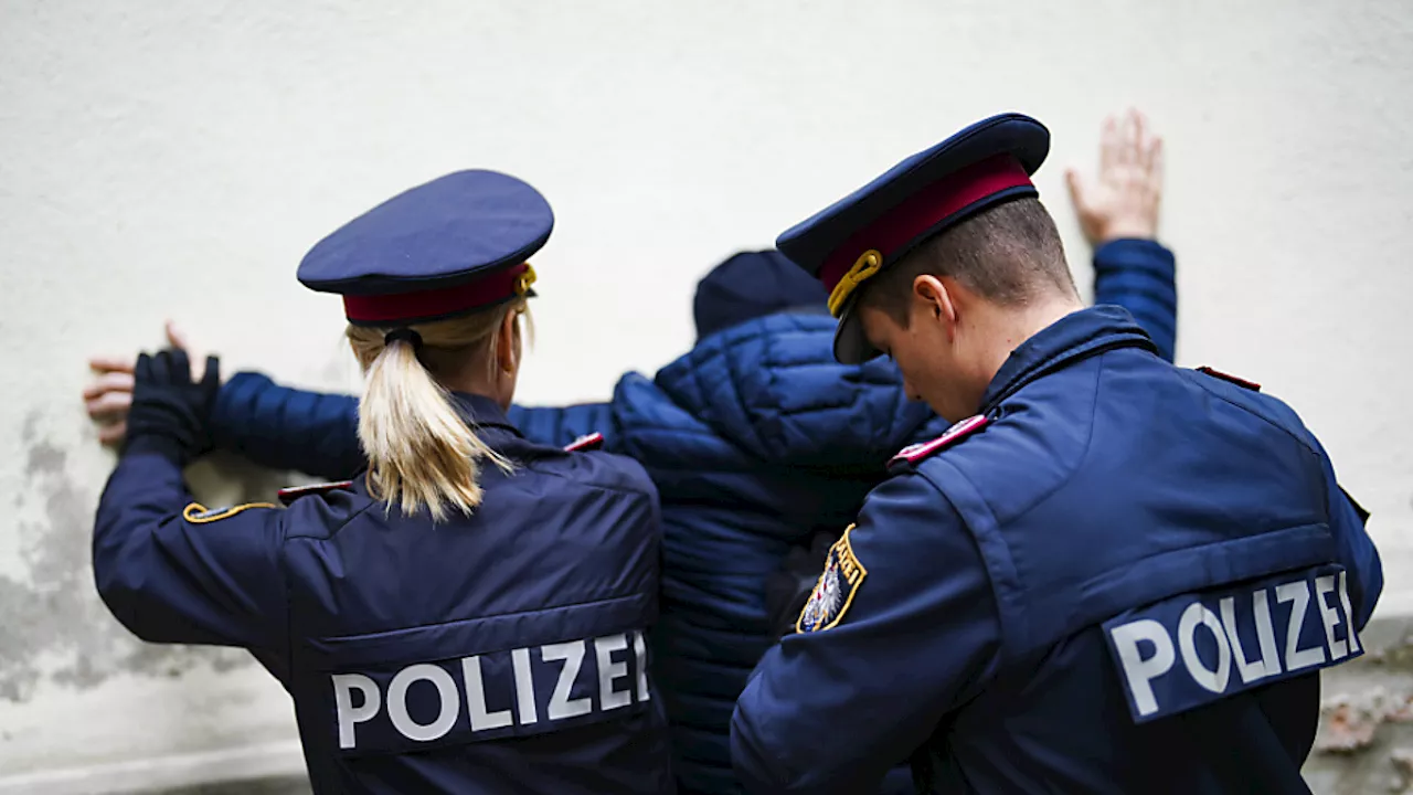 Verdächtige nach Home-Invasion in Wien festgenommen