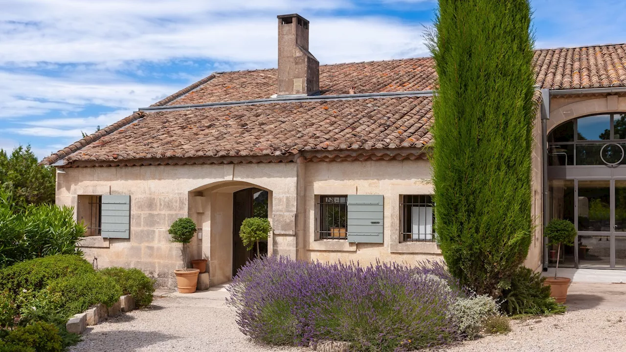 Je peux planter un arbre où je veux chez moi, vrai ou faux?