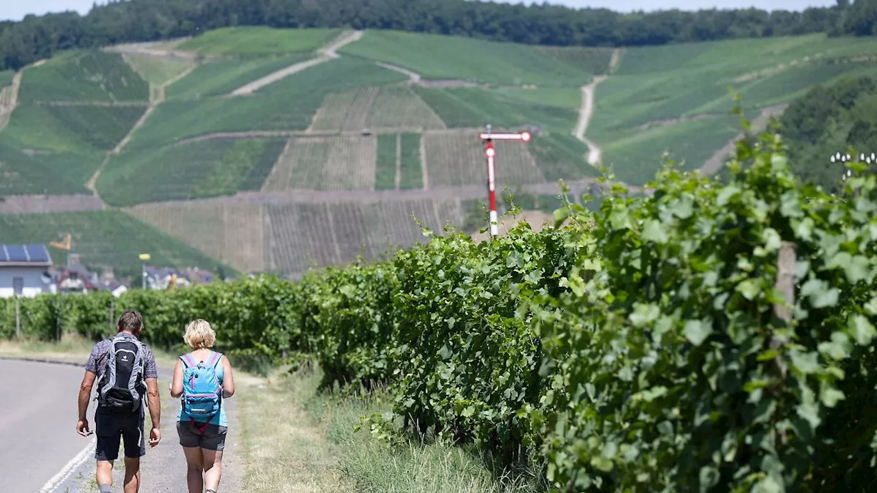 Rheinland-Pfalz & Saarland: Reisemagazin sieht Ahrtal unter den 25 besten Zielen