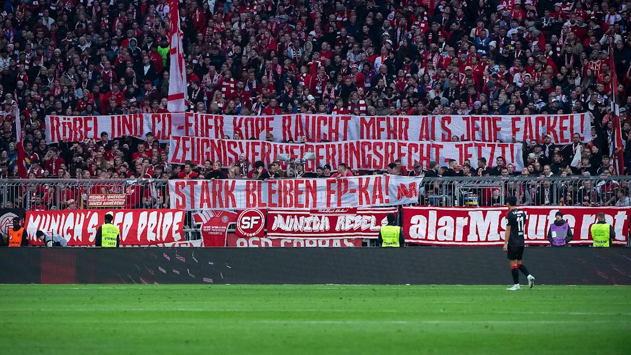 Urteil gegen Fanprojekt Karlsruhe: Sozialarbeiter in ganz Fußball-Deutschland besorgt