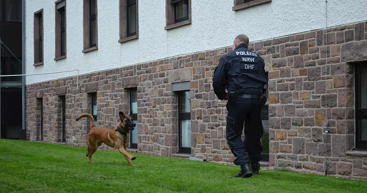 Vier Pfoten gegen das Verbrechen: Diese neue Spürnase ermittelt im Kreis Höxter