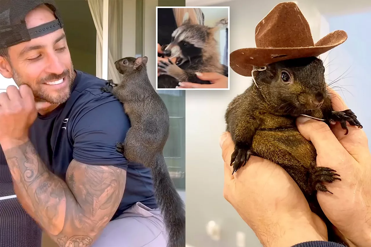 P'Nut the Squirrel was marked for death and decapitation from the start — as rabies test comes back negative in tragic twist