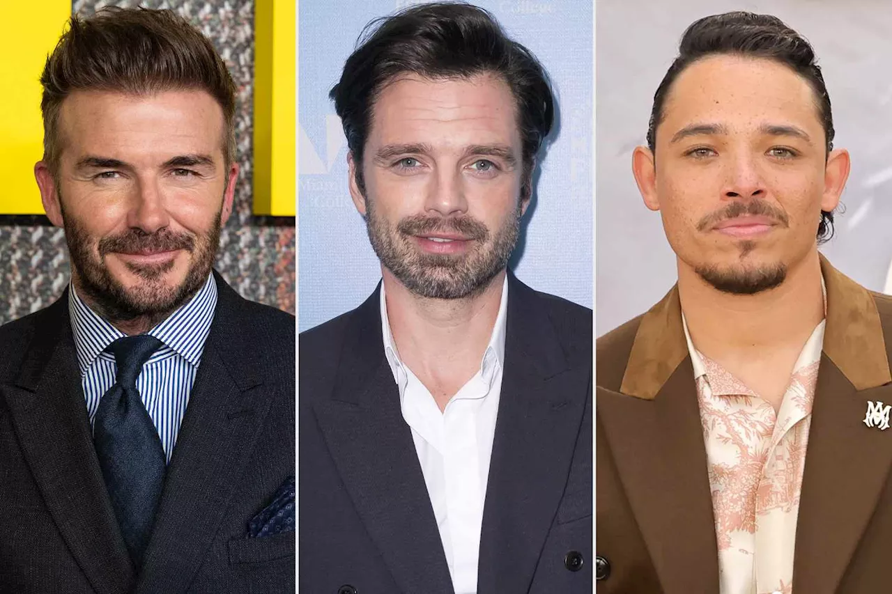 Your Favorite Celebrities — Including David Beckham and Sebastian Stan — Weigh In on What Makes Someone Sexy