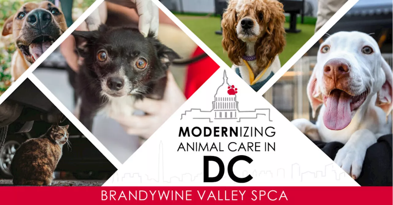 “Brandywine Valley SPCA will be taking over the animal care and control contract from HRA”