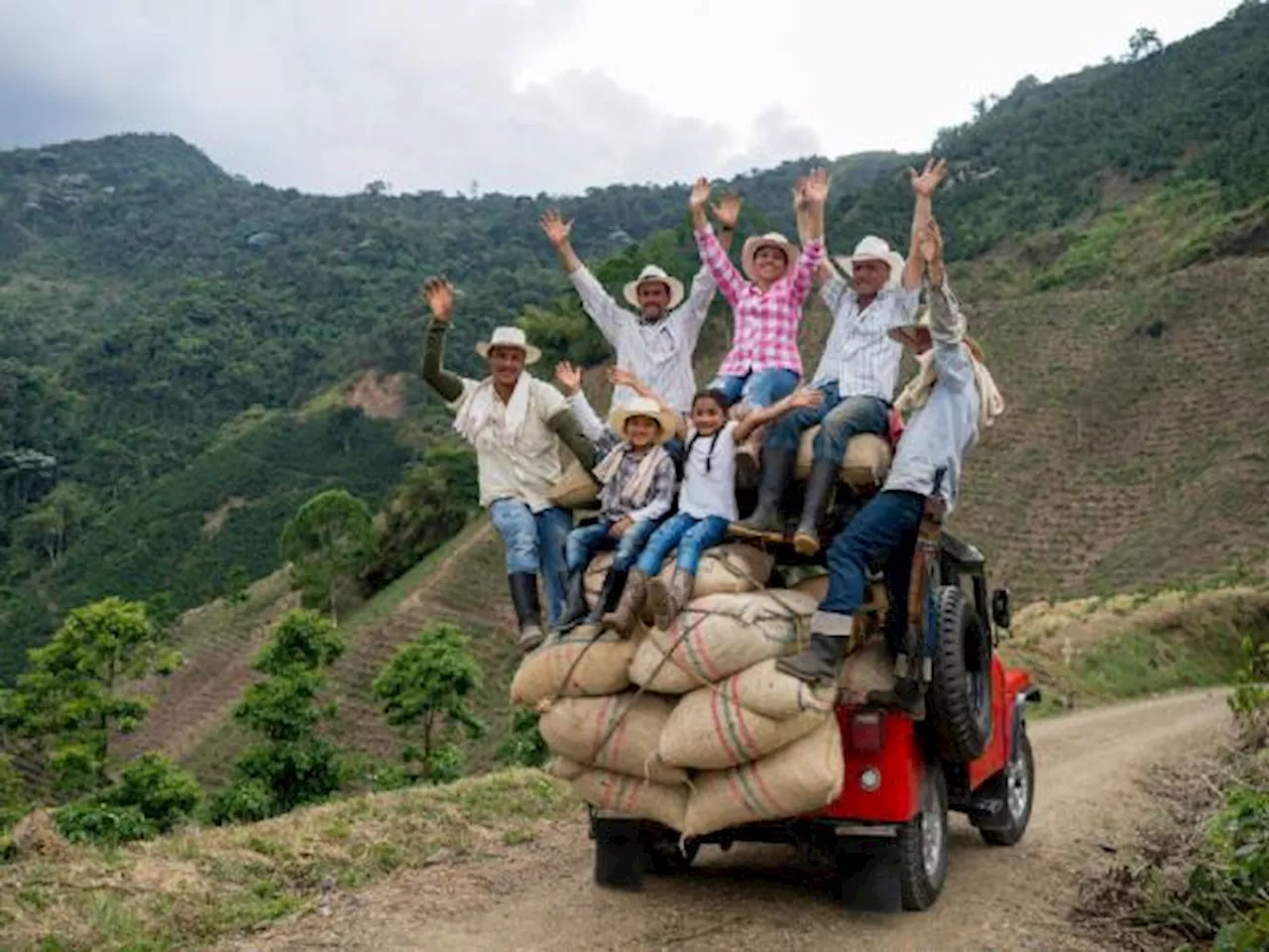 Prosperidad Social de Colombia: los subsidios que harán pagos en noviembre 2024