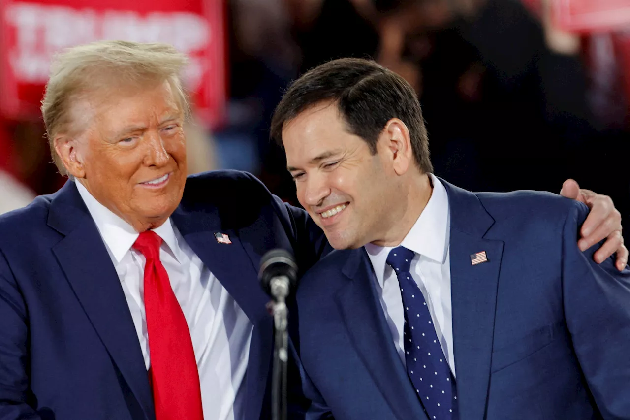 Trump taps US Senator Marco Rubio for secretary of state, sources say