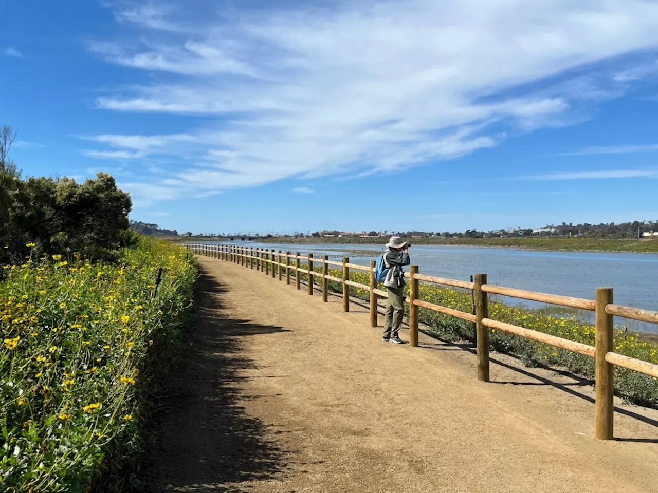 Try the Tidal Trail: New San Dieguito River Park trail borders restored wetlands