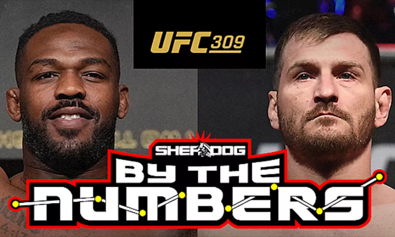 By The Numbers: Jon Jones vs. Stipe Miocic