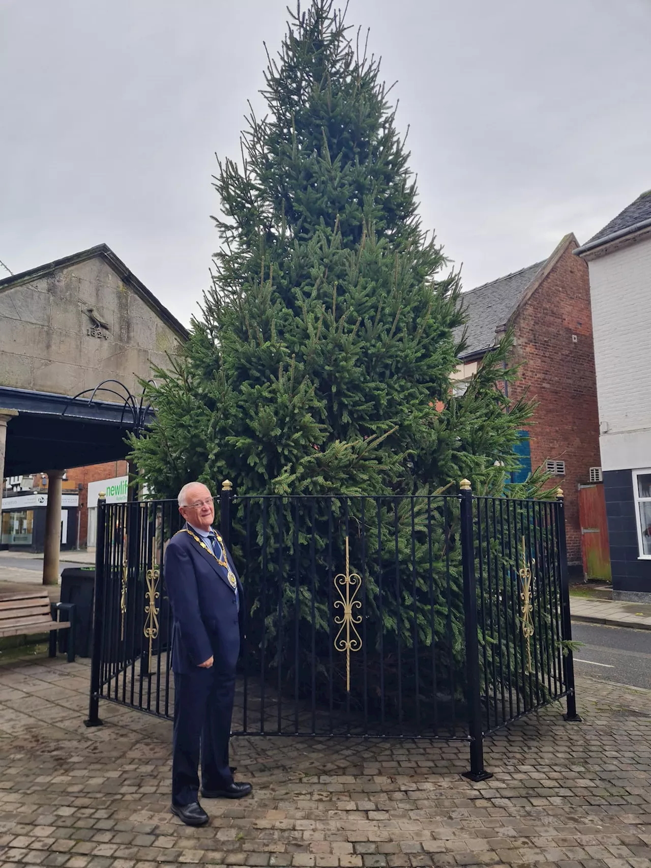 Huge Market Drayton Christmas tree erected ahead of popular Festival of Lights this weekend