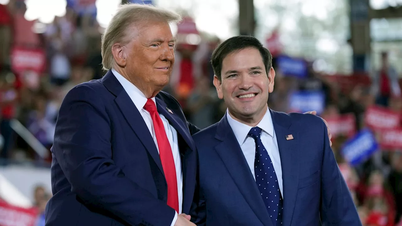 Marco Rubio: Who is the Florida politician who once said Donald Trump has small hands?