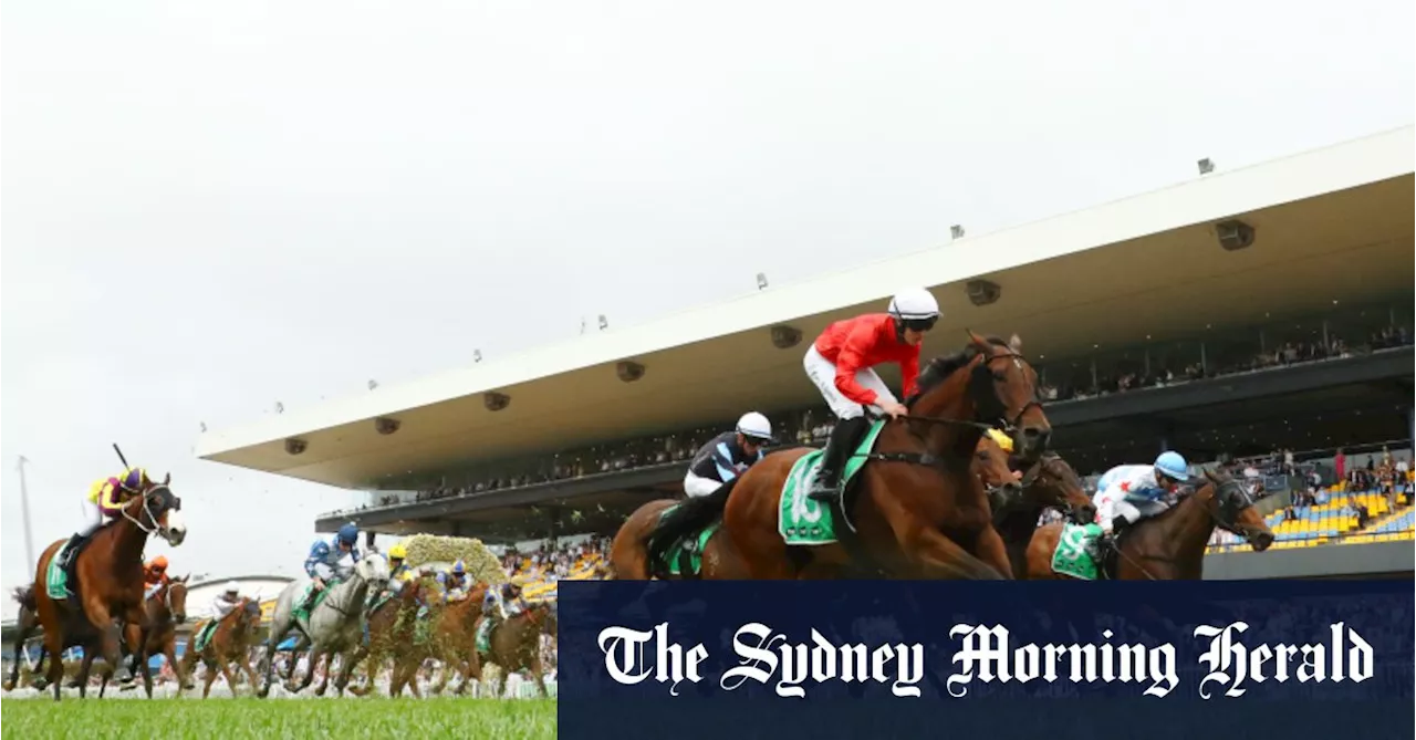 Race-by-race preview and tips for Rosehill on Wednesday