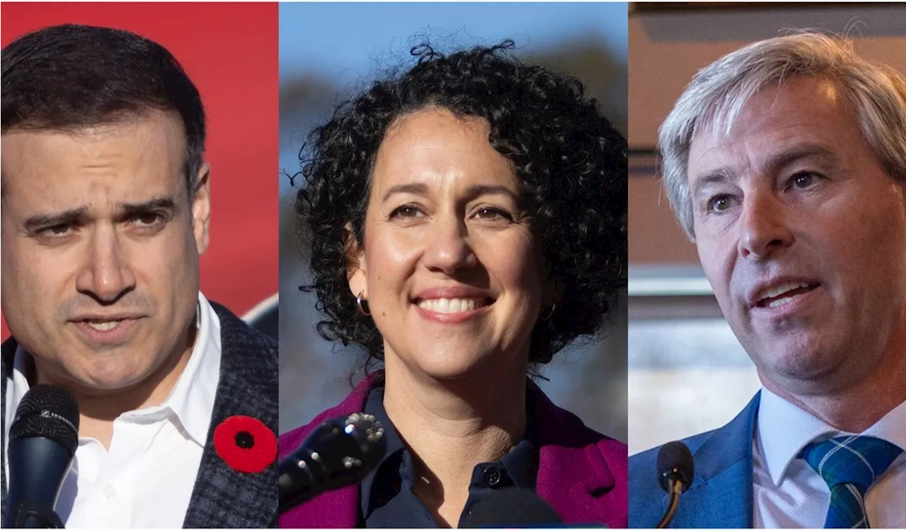 Nova Scotia election promise tracker: What has been promised by three main parties?