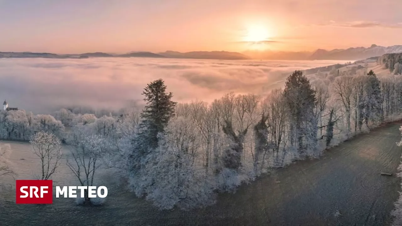 Winterliche Nächte in Sicht