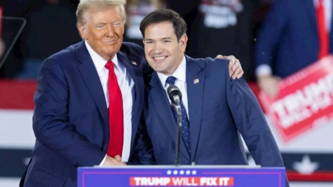 US-Medien: Trump will Floridas Senator Marco Rubio zum Außenminister machen