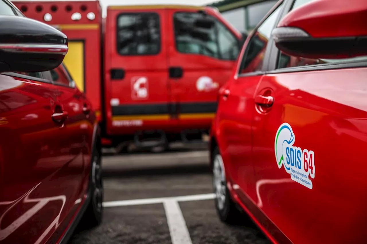 Béarn : un poids lourd se renverse, trois veaux tués et 77 sauvés par les pompiers