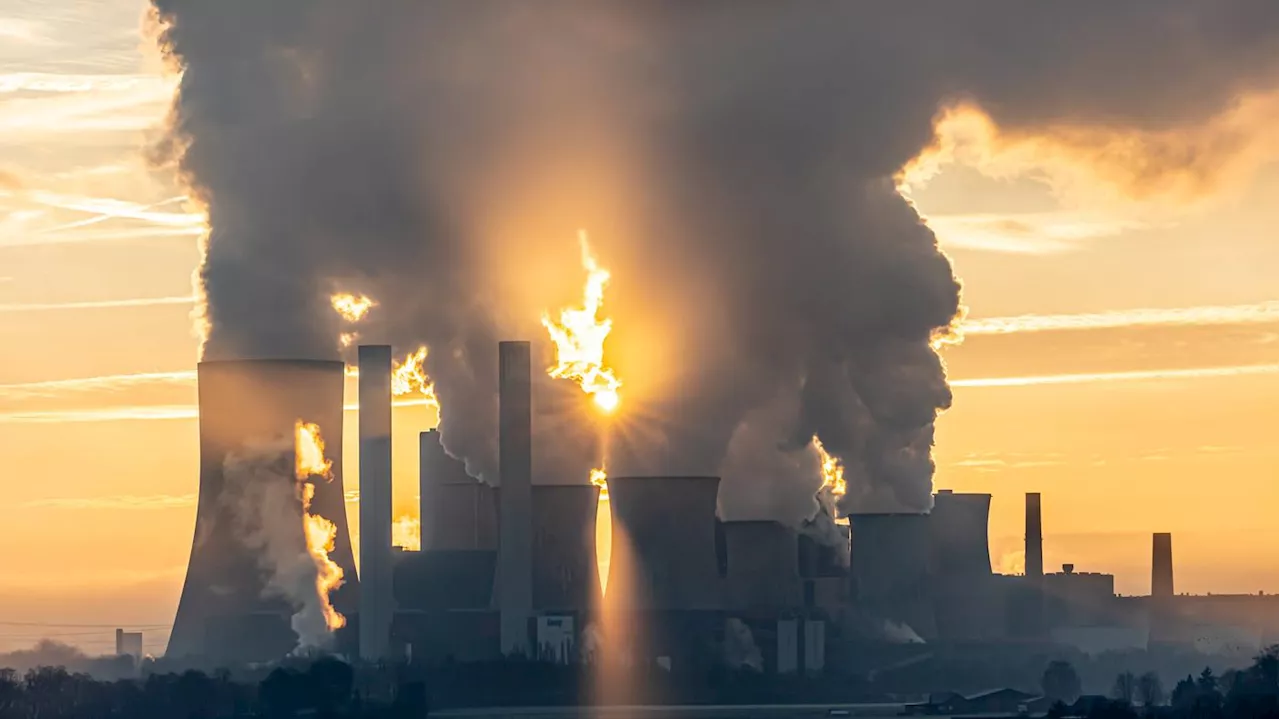 Wunsch trifft Wirklichkeit: Mehrheit der größten Firmen in Deutschland reißt eigene Klimaziele