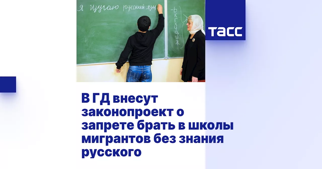 В ГД внесут законопроект о запрете брать в школы мигрантов без знания русского