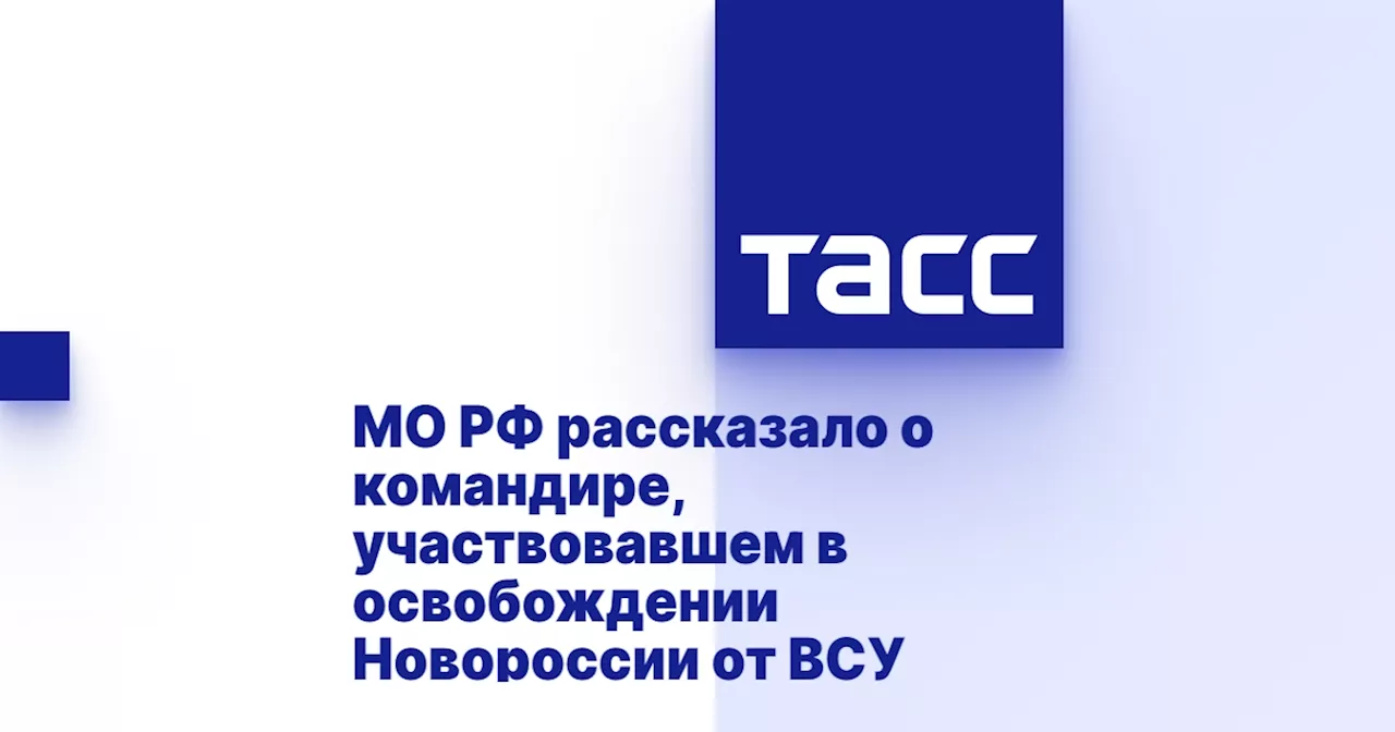 МО РФ рассказало о командире, участвовавшем в освобождении Новороссии от ВСУ