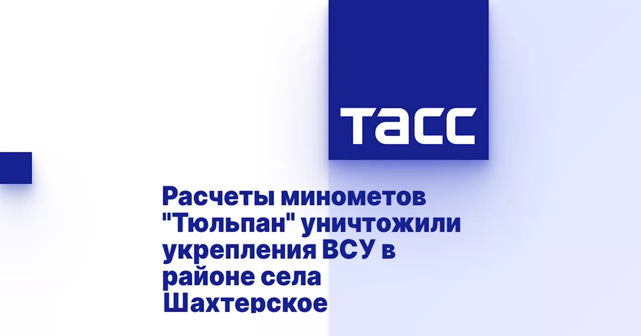 Расчеты минометов 'Тюльпан' уничтожили укрепления ВСУ в районе села Шахтерское