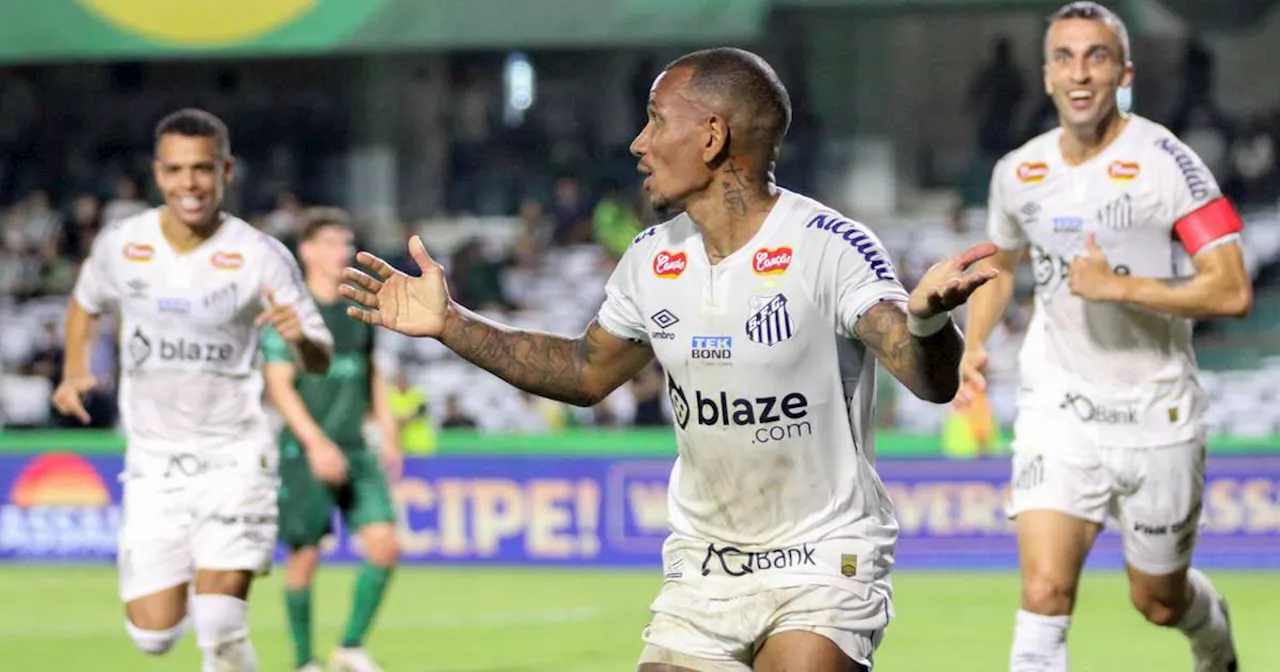 Santos supera campeonato de altos e baixos e volta à Série A do Brasileirão