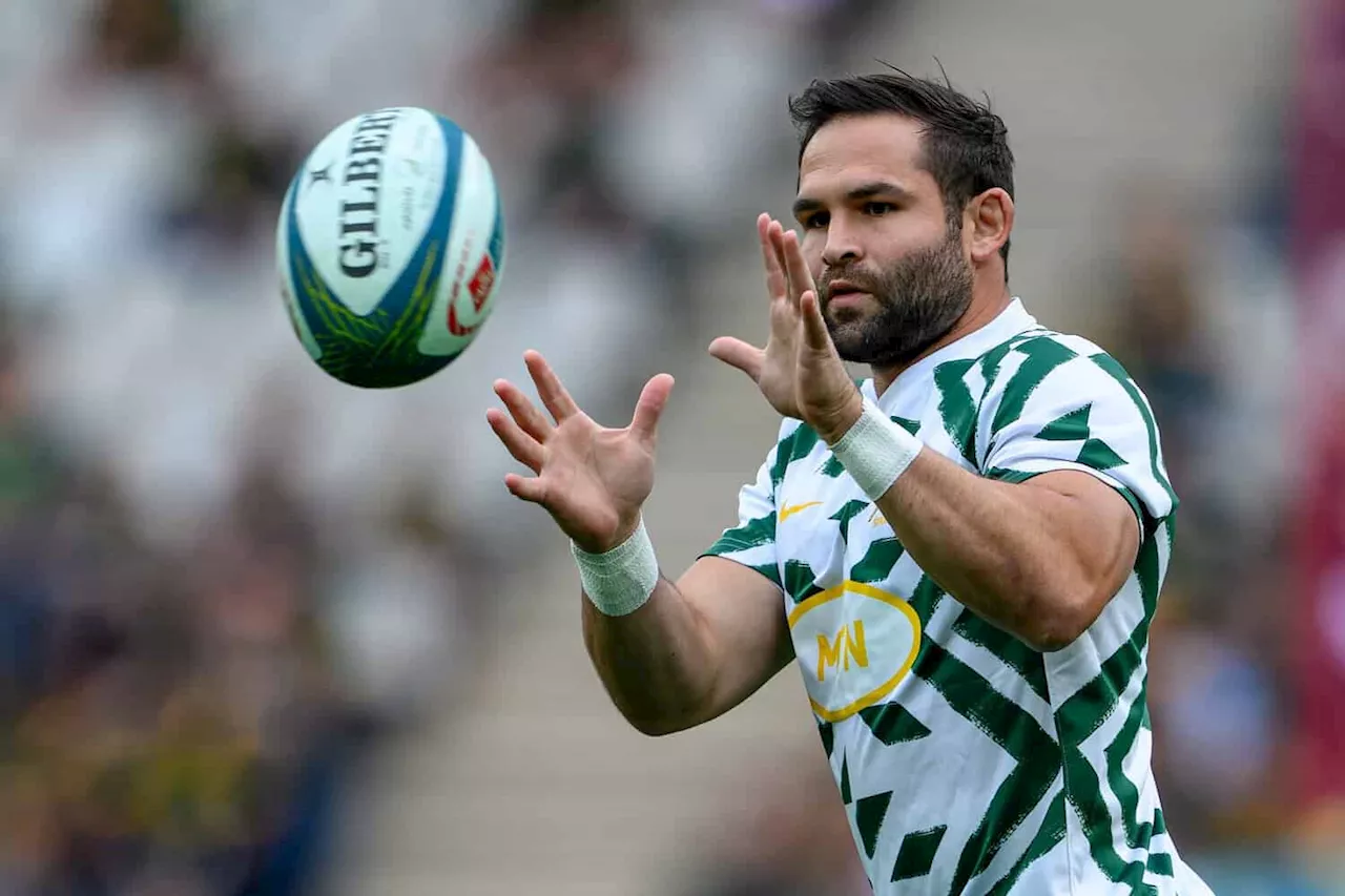 ‘Boks, England matches are always special’ — Cobus Reinach