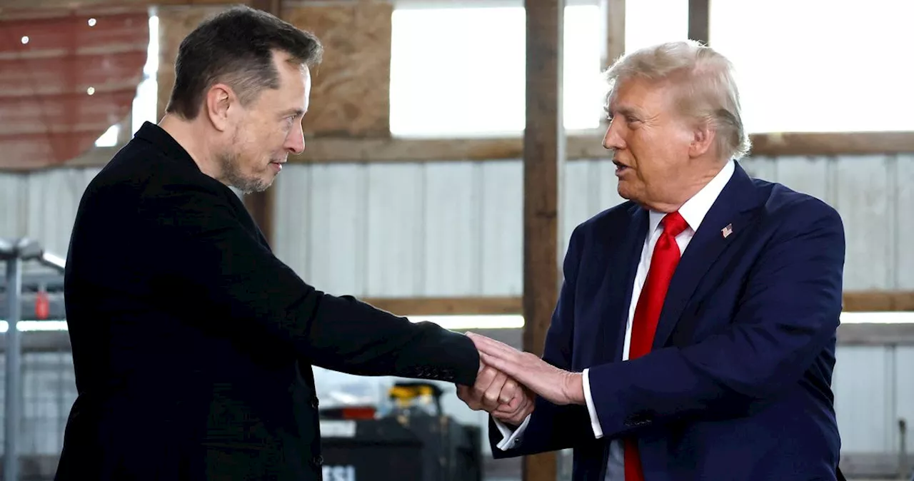 How Close Are Elon Musk and Donald Trump?