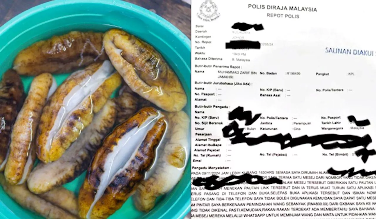 Wanita Rugi RM4,800 Lepas Telefon Digodam Ketika Beli ‘Seafood’ Secara Online