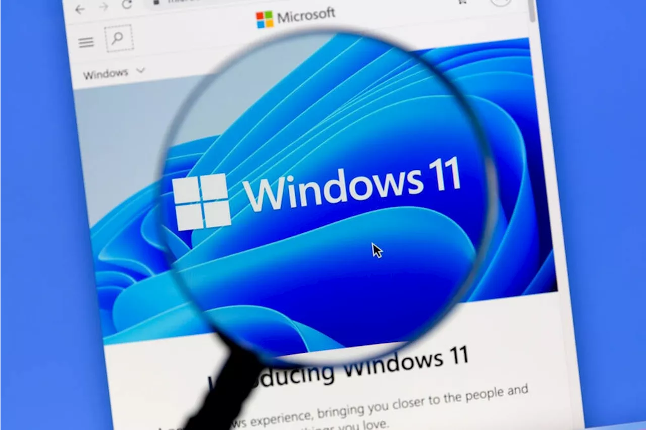 Clues to Windows Intelligence found in Windows 11 builds