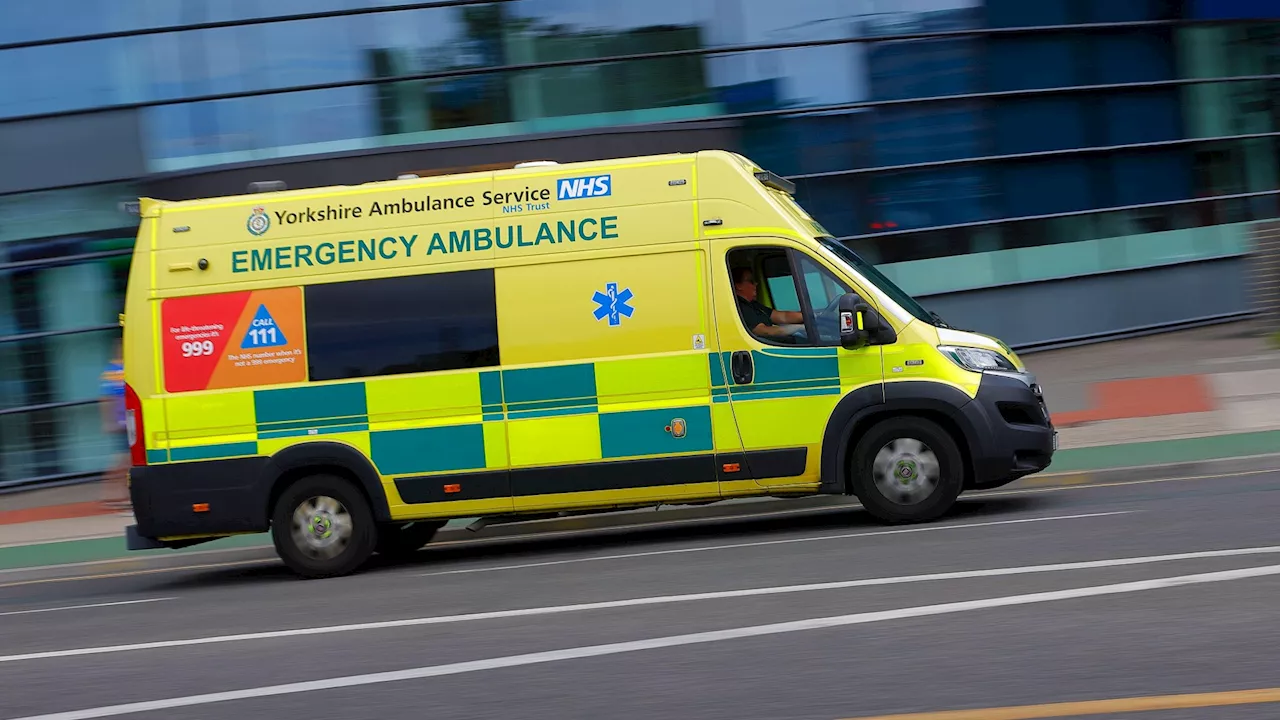 More Brits are falling critically ill because GPs and pharmacies are overwhelmed, A&E bosses warn...