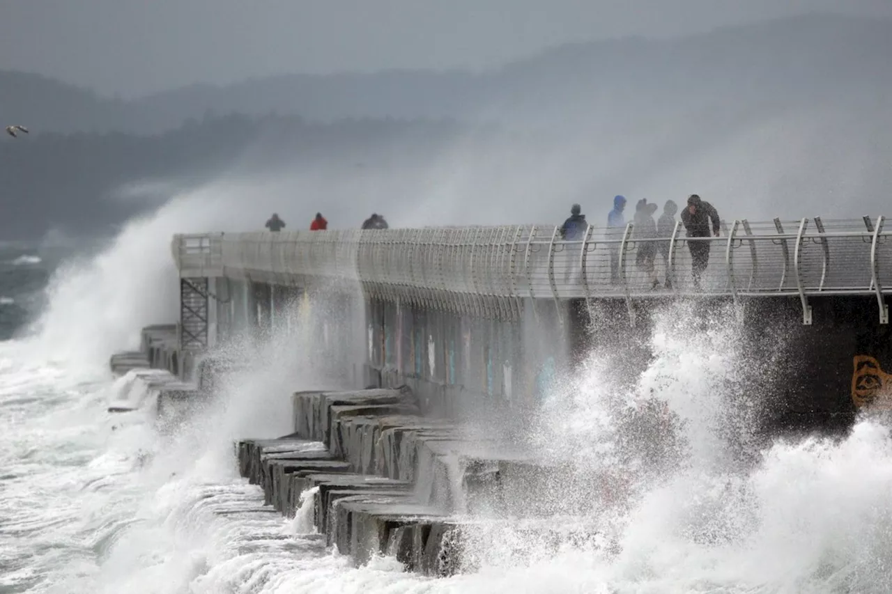 B.C. Ferries warns of possible cancellations due to high winds