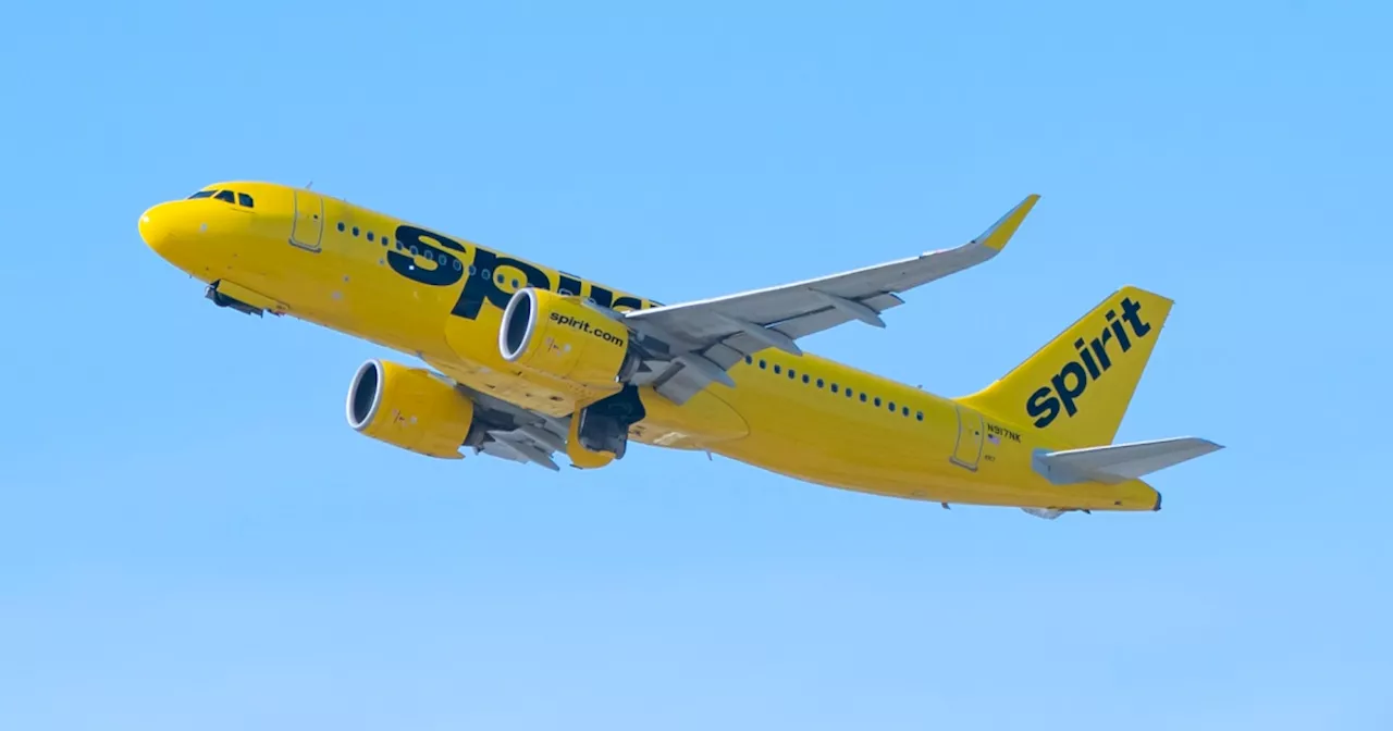 Spirit Airlines Flight To Haiti Struck By Gunfire, Flight Attendant Injured