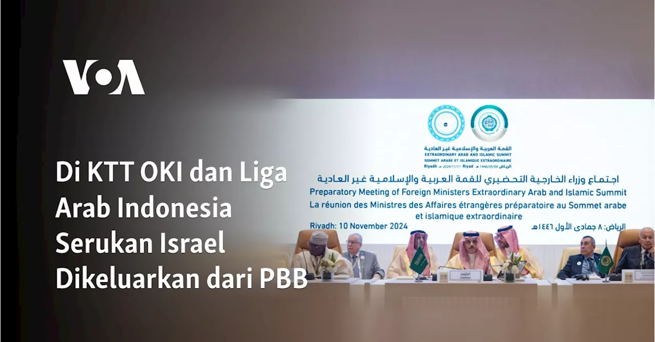 Di KTT OKI dan Liga Arab Indonesia Serukan Israel Dikeluarkan dari PBB