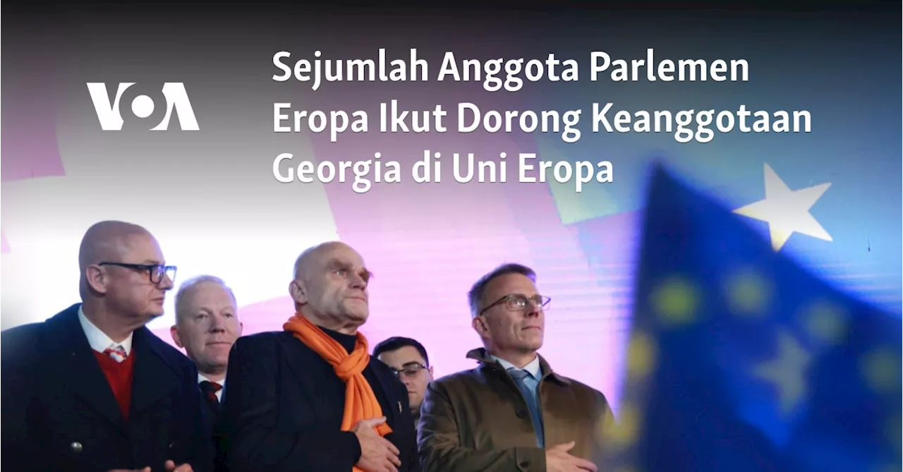 Sejumlah Anggota Parlemen Eropa Ikut Dorong Keanggotaan Georgia di Uni Eropa