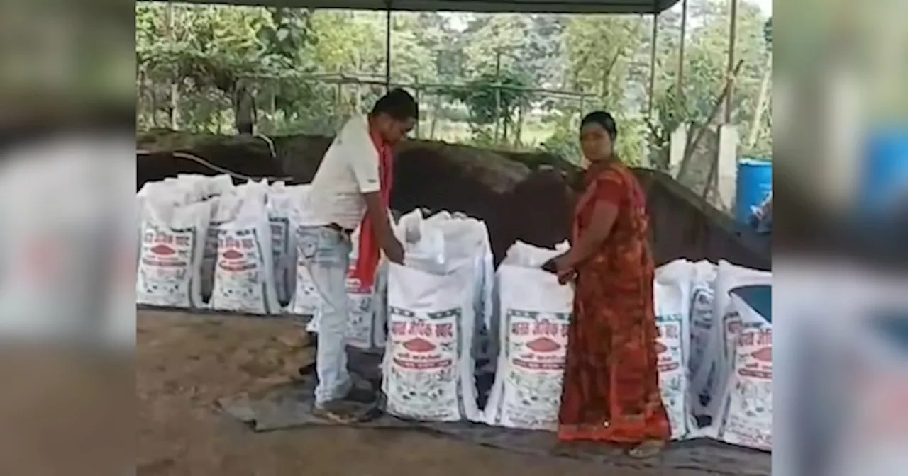 मधुबनी की पुनीता देवी को Lakhpati दीदी योजना ने लखपति बना दिया! देखिए तस्वीरें